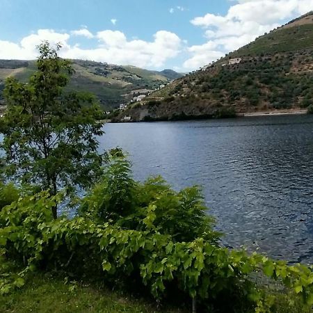 Douro Feels Like Home Fontelo  المظهر الخارجي الصورة